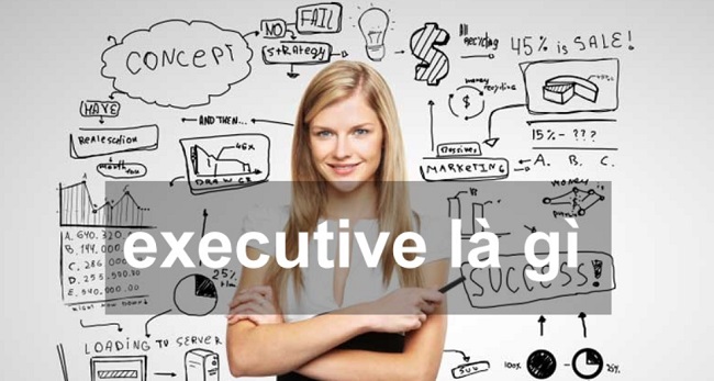 Khái niệm executive